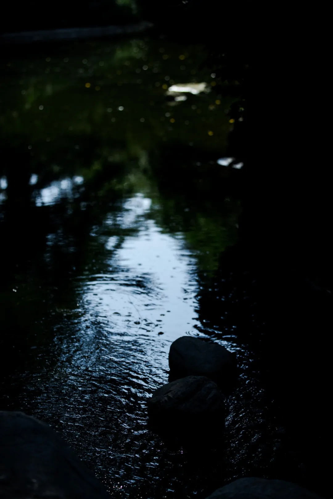 “牵牛花，一朵深渊色。”——有一种短诗，叫俳句