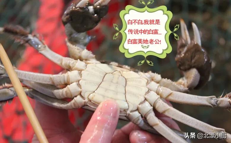 买螃蟹，公蟹和母蟹区别大；牢记3买3不买，螃蟹个个膏满黄肥