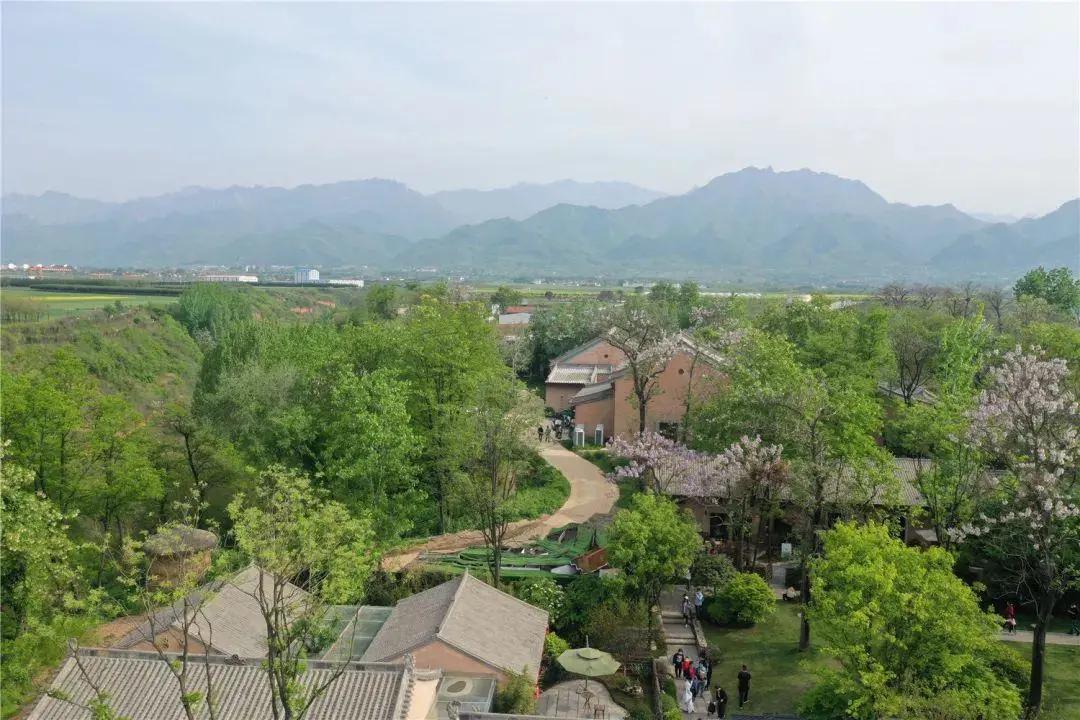 袁家村之后，陕西又出了一个全新标杆农文旅项目——唐村