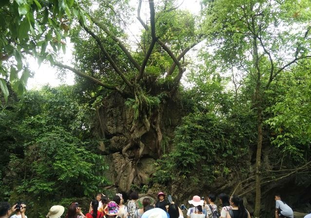 贵州黄果树瀑布，一个如仙境般的地方