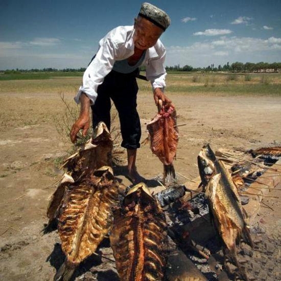 “温柔猎食者”新疆大头鱼：从百姓口粮到一条难寻，如今获新生？