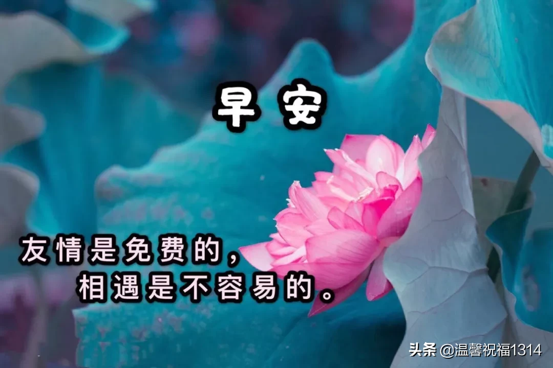 ʮףZ 210һ簲ӑB(ti)DƬ