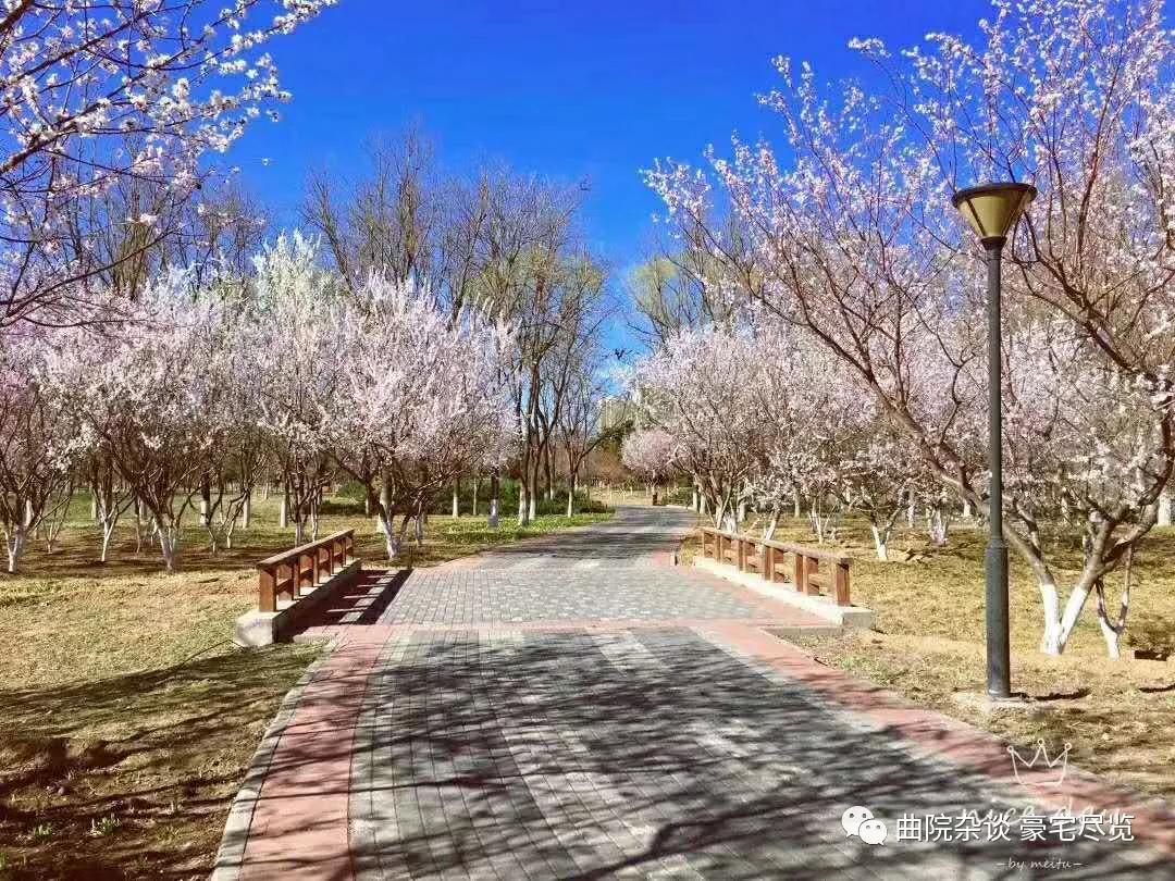 壹亮马 东北四环 艺术中心区，遇见爱马仕 艺术区的质感平层