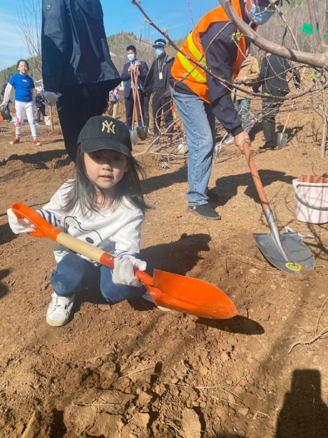 Dong Xuan Pure Brightness takes a daughter to plant tree, 4 years old of small dimple water the individual character that bury earth is independent, 