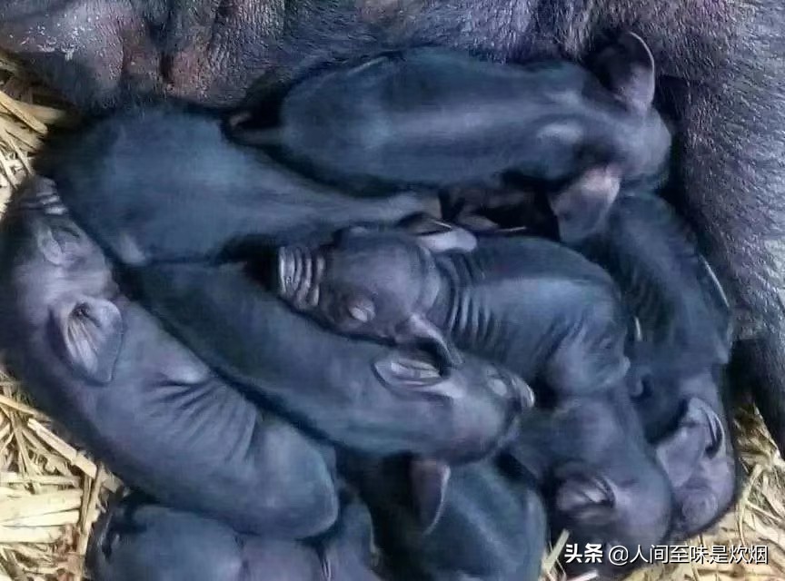 时间太快你慢点老 时间不快 是我们心太粗了 怀念我的奶奶 Zh中文网