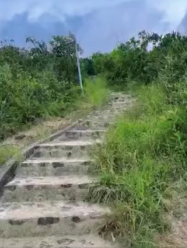 好幸福！郭晶晶晒一家五口温馨日常，与霍启刚爬山自拍秀足恩爱