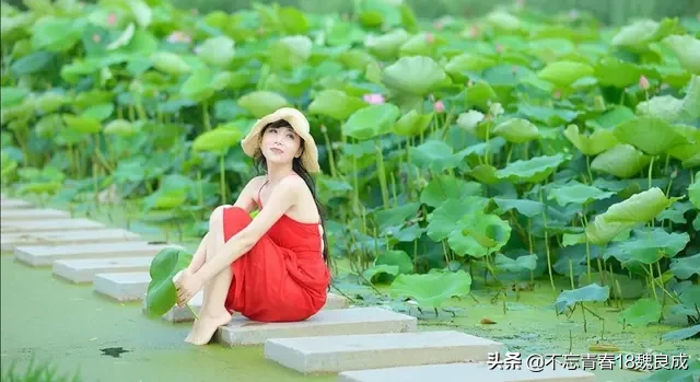 四季歌，春，夏，秋，冬吟诗四首-第2张图片-非凡网