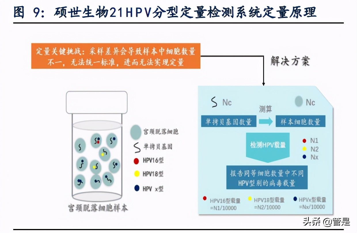 硕世生物专题报告：疾控领域领先企业，后疫情时代突出受益