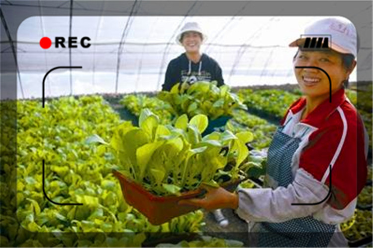 50万的负债想在两年内还清，对于一个50岁的人来