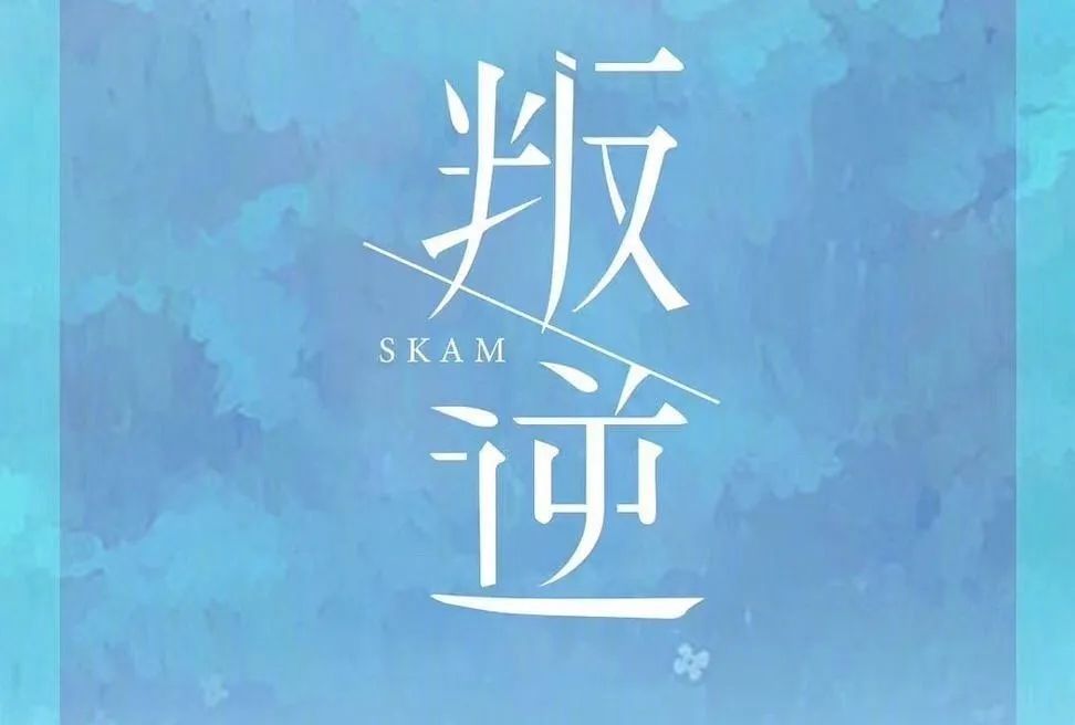 中国版《Skam》即将启动，“青春”一直被提起却