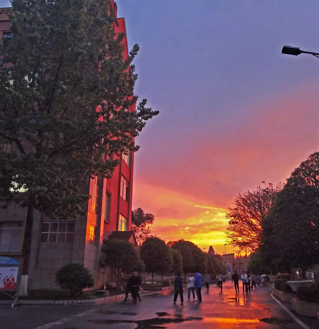 There is fine day not merely after the rain of school of duty of hope ｜ hope, the rosy clouds that still has string of hold up popular feeling is all over the sky...