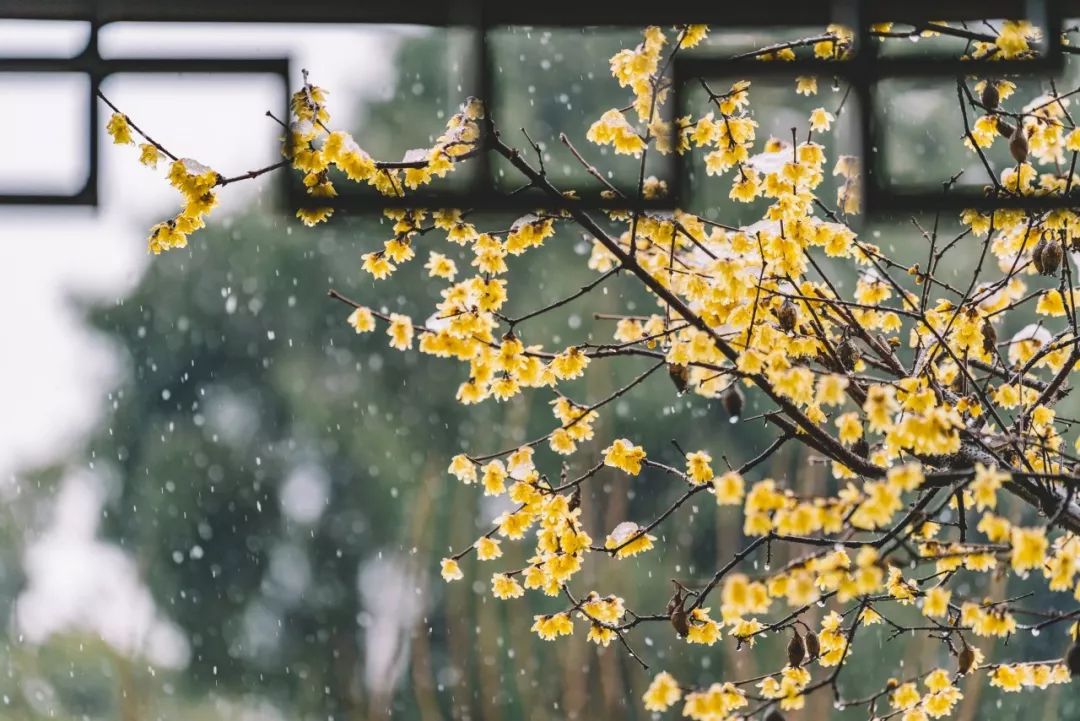 100句雪诗词，遇见最美冬天-第16张图片-非凡网