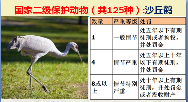 国家最新125类二级野生保护名录，图片及违法对应刑责