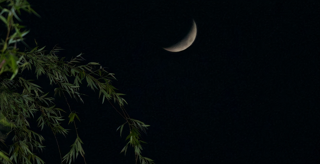 十首夏夜的诗词，从古人的视角​感受夏夜的美好-第6张图片-非凡网