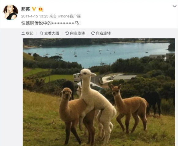 “傻大姐”那英30年歌坛闯荡史，和她背后5个男