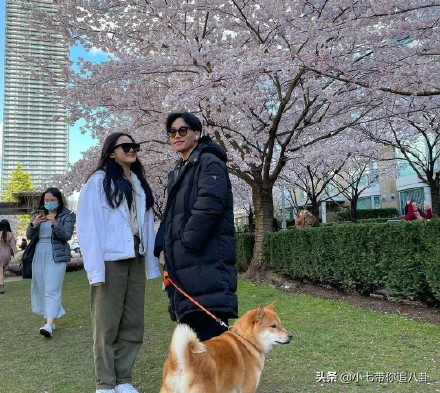 Chen Kun's son is basked in with the schoolgirl close according to