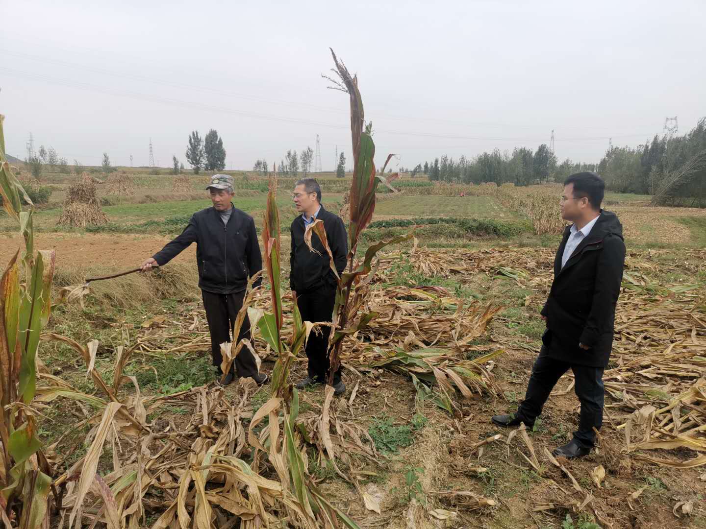 "双节"假期不停歇，临沂市掀起秸秆禁烧工作热潮