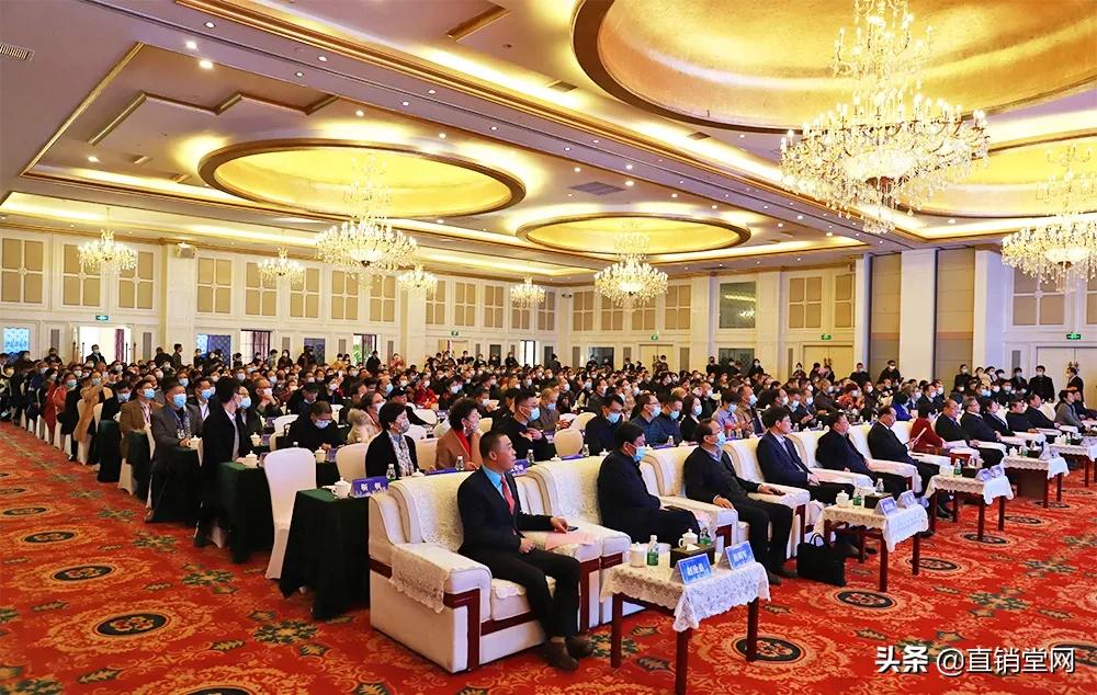 金天国际“数字化+新消费生态联盟”，助力中医药传承创新发展