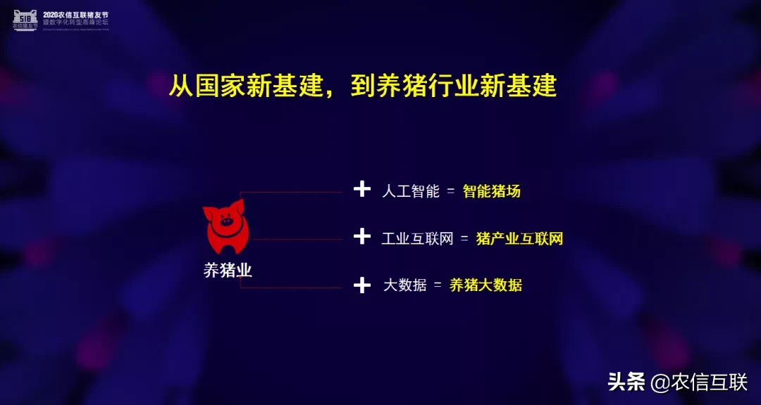 农信互联副总裁、运营总监王柯：生猪产业该如