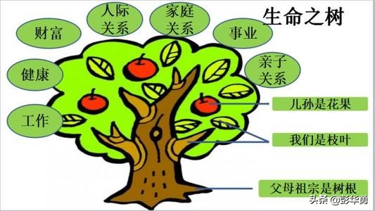 彭华勇：教育的根是什么？