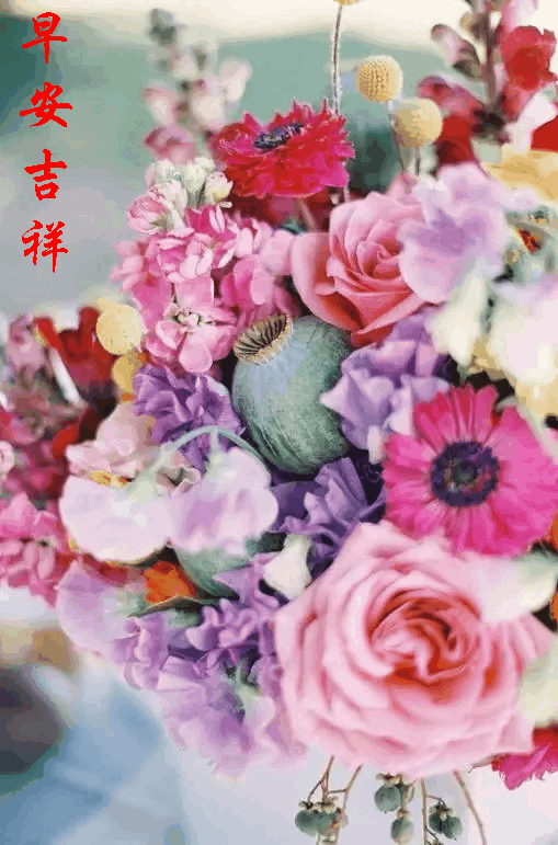 早上好动态图片带字和鲜花 早上好图片大全图片