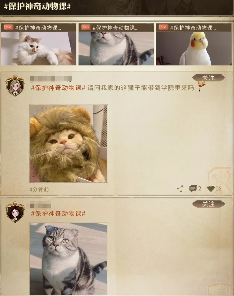 《哈利波特:魔法觉醒》:江湖人称「小校内网」
