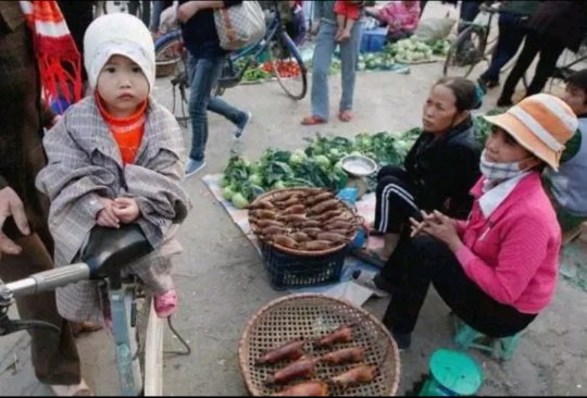 越南人特纳闷：这东西我们巴不得天天吃，为啥中国人这么嫌弃？