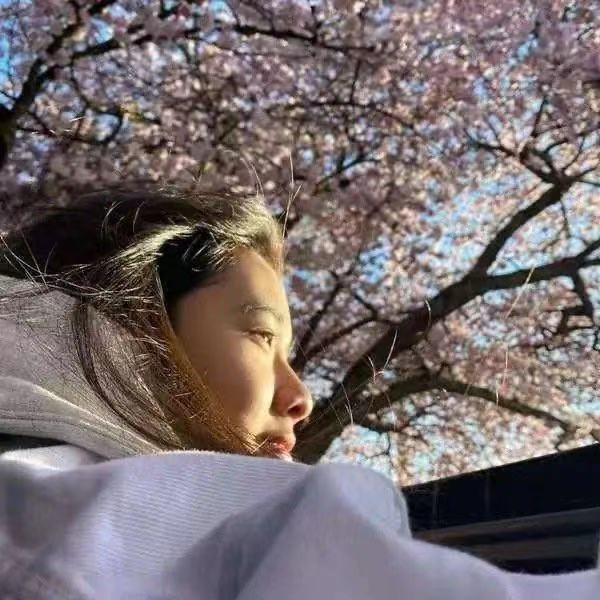 Chen Kun's son is basked in admire cherry to illuminate, with casing schoolgirl long hair waves wave Yan Zhigao, the picture raises an eye to bring amour to guess