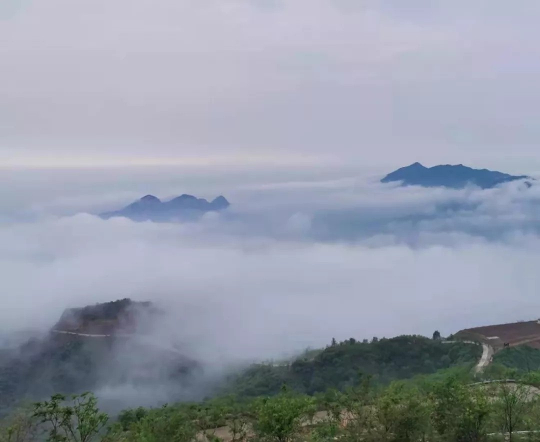 迪山云顶首届星空露营来袭！月夜烧烤，露天电影... ...等你来