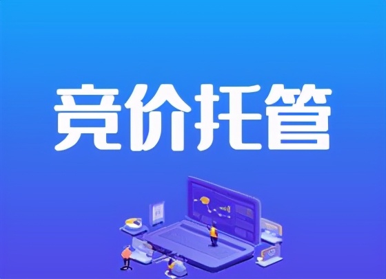 怎么判断网站适合做竞价推广还是优化推广？
