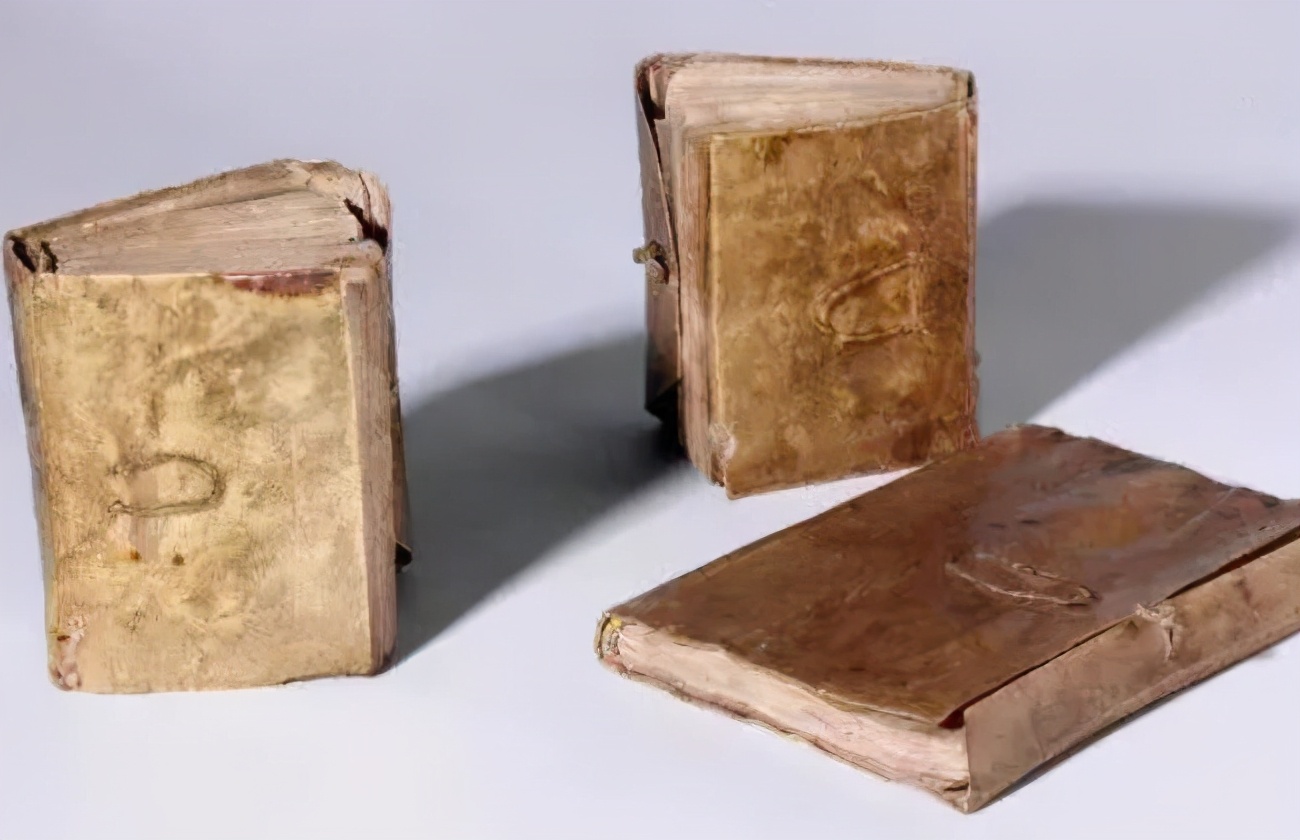 愛因斯坦：如果達芬奇公布他的手稿，可以讓當時的科技進步上百年