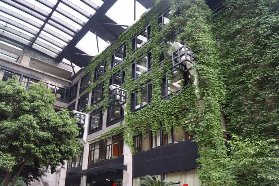 中国美术学院校考改革：招生数上涨！拿证率降低？首考全新科目