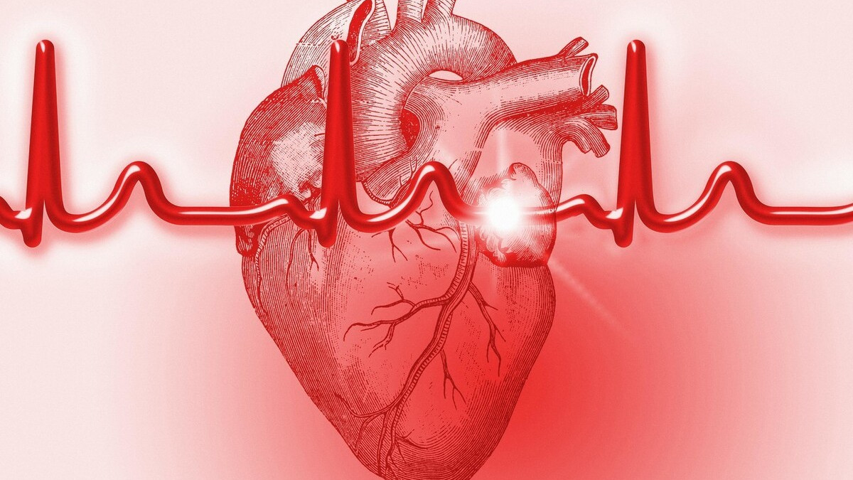 從心率狀況，能看出長壽與否？ 你的心跳速度在什麼範圍？ 盡量清楚