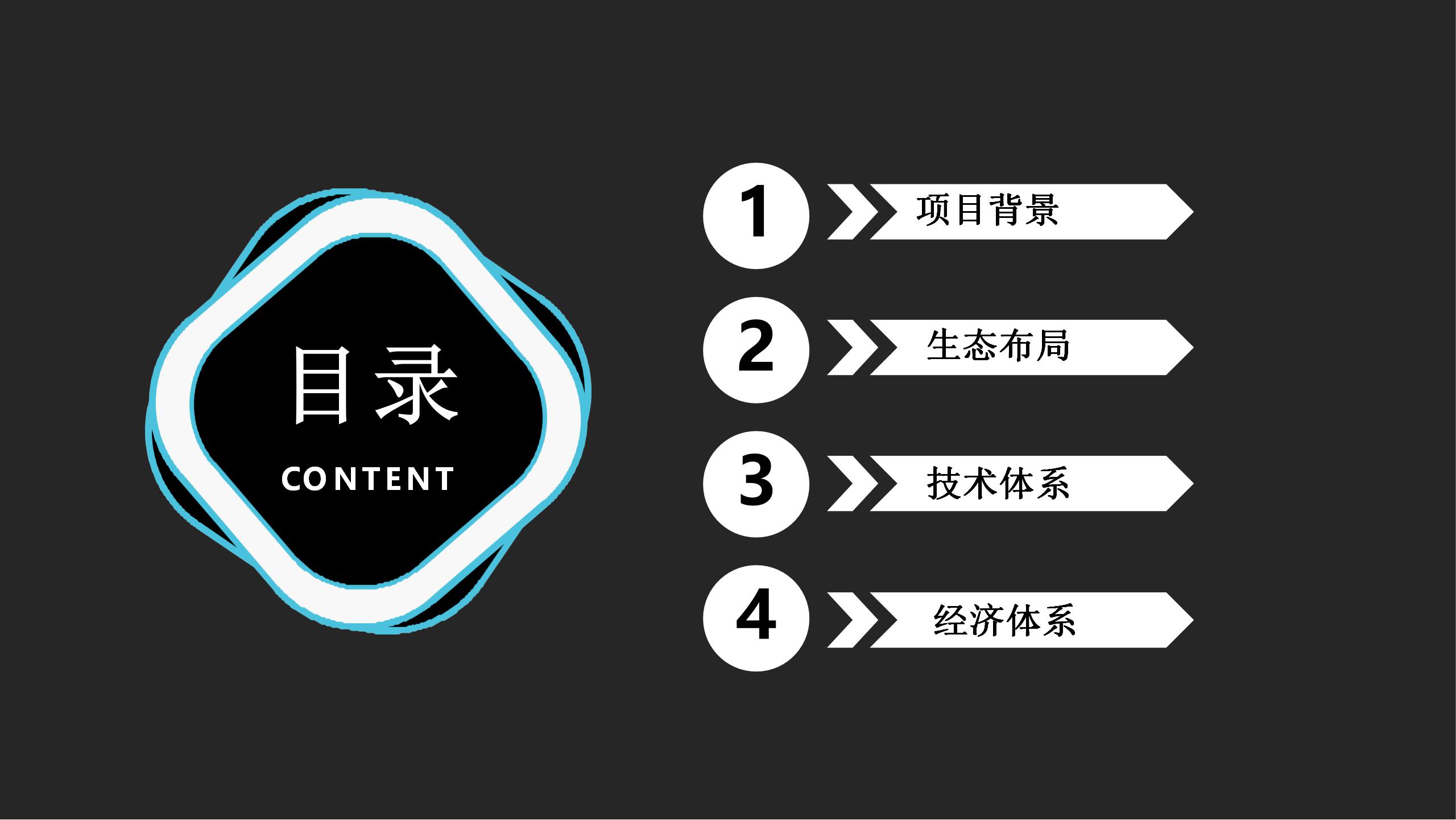 全球匿名社交公链领导者—ASN匿名社交公链