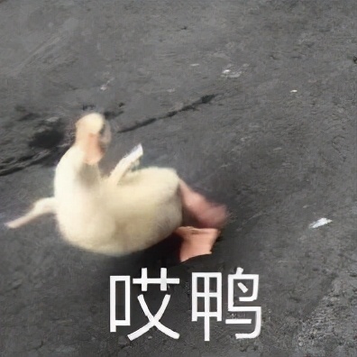 他心怀愧疚，借钱赔付了医药费，没想到…