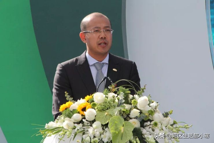 被殃及的池鱼绿地总裁陈军，是何许人也?