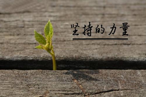 做自媒体：别人日进斗金！你无人问津！告诉你原因