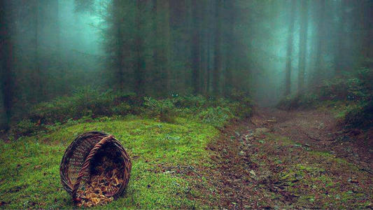 长白山干饭盆谜团解析,有进无出,神奇的陨石是否就隐匿其间?