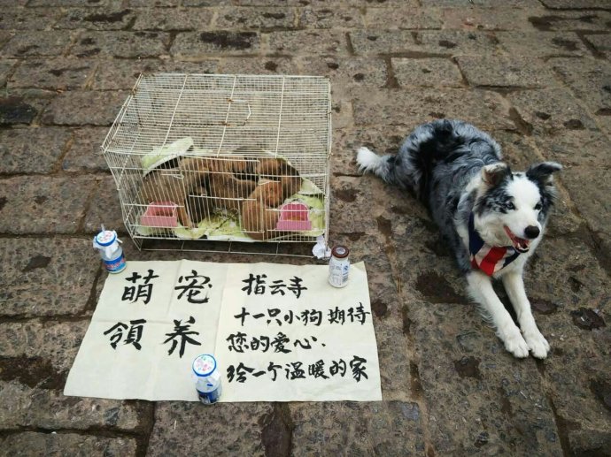 2021晚上女人擺地攤賣什么最賺錢而且很受歡迎