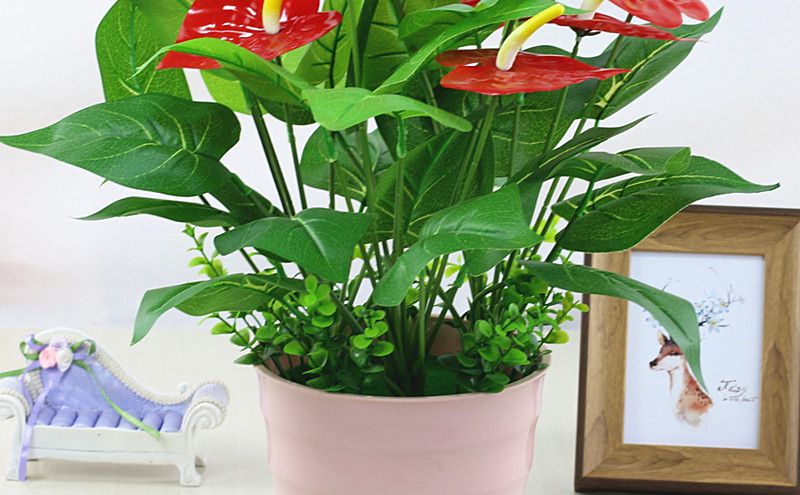 居家如何"踏青賞花"？淺談居室植物配置設(shè)計原則