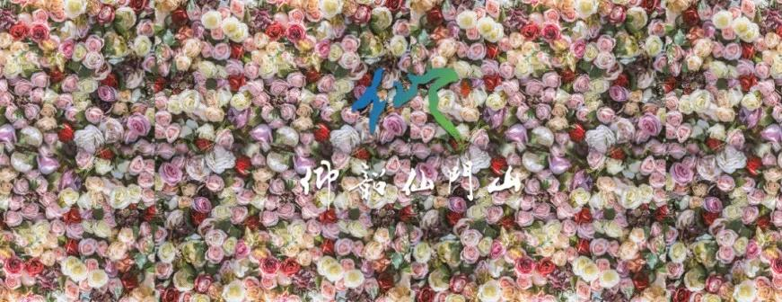 仰韶酒庄·仙门山首届仙女节浪漫开启！