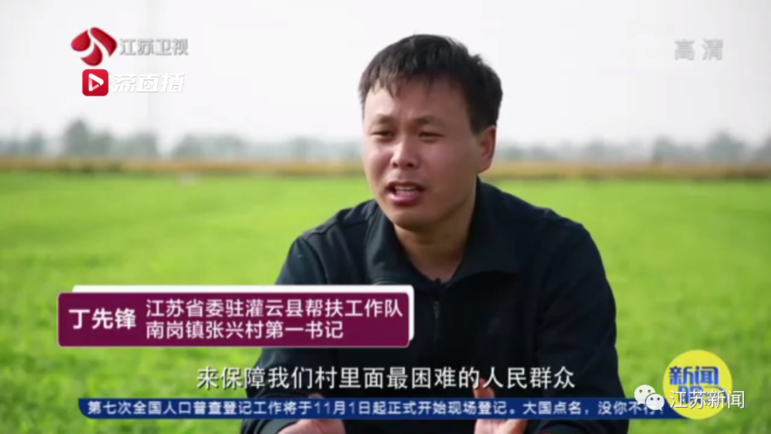 灌云“西瓜书记”第二次丰收，这次是芦蒿！小康路上，谁都不掉队