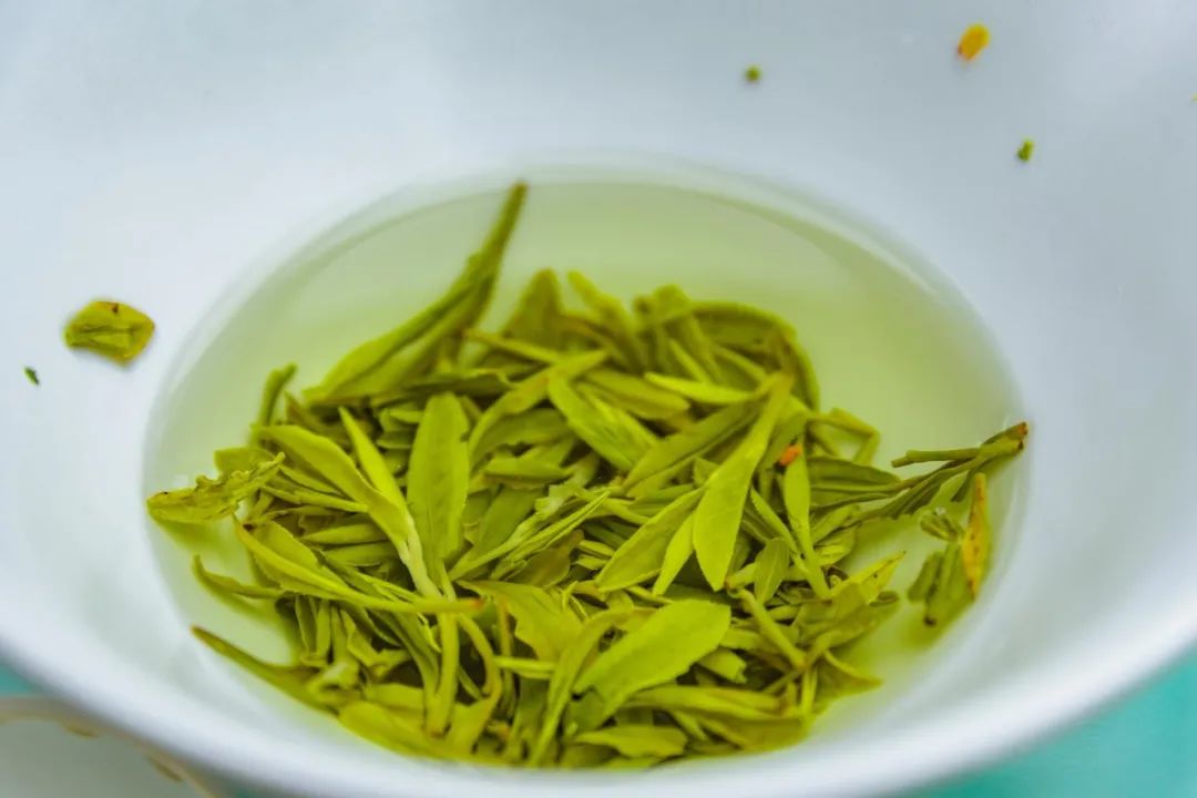 茶葉過了保質期還能喝嗎？六大茶類的保質期各是多久？
