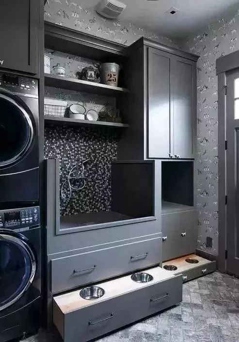 养宠家庭的“装修秘笈”┃ 东方一木科普