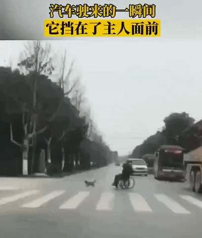 2020年还剩最后一个月：撑不下去的时候，看看这20张图片