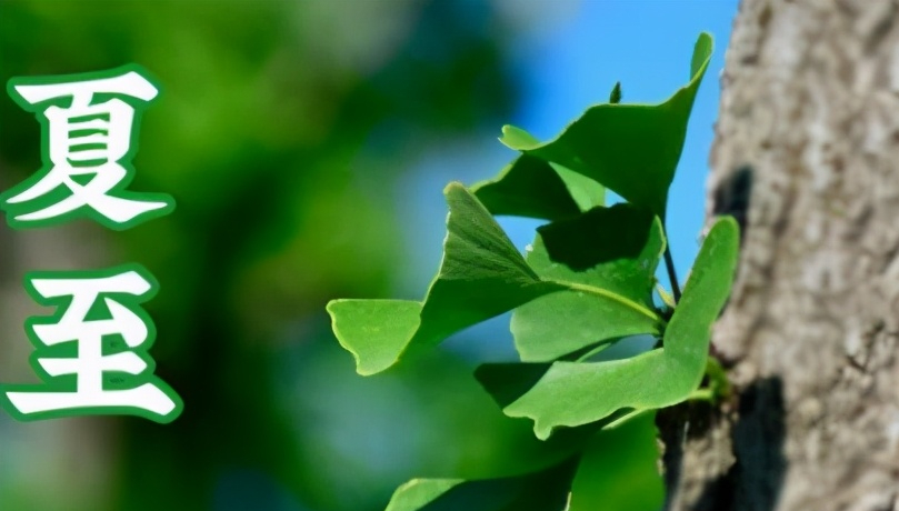 2021夏至朋友圈文案唯美 夏至说说简短唯美