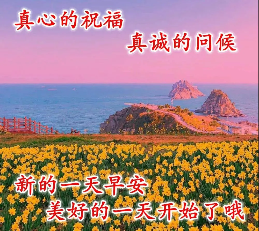早上好表情动态 祝福语问候语 图片