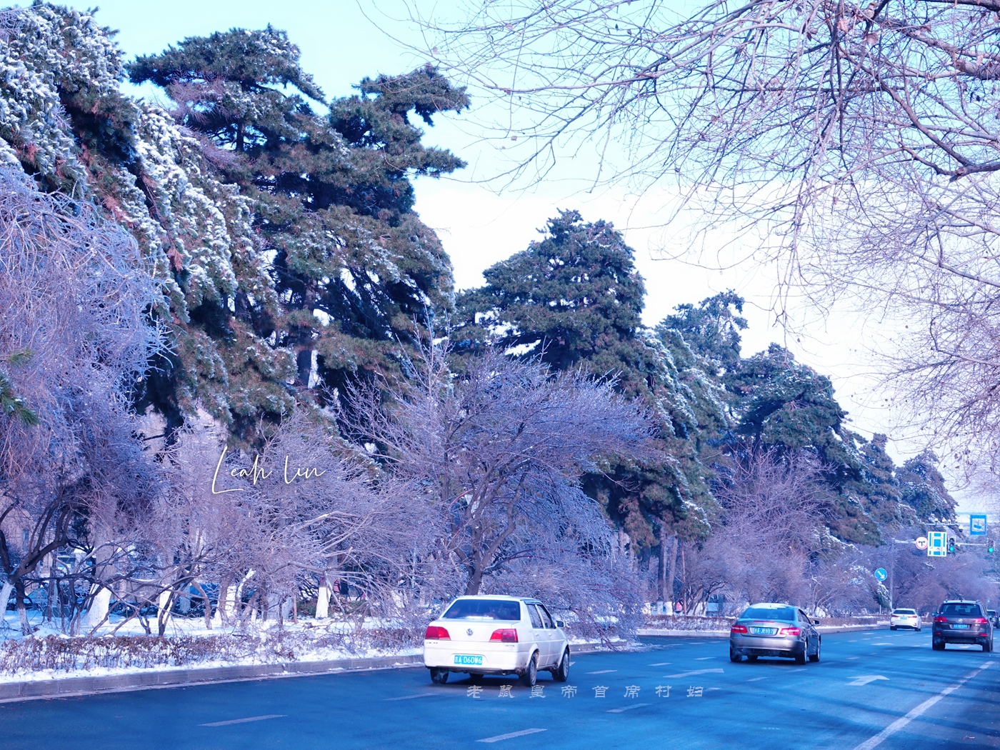 长春惊现百年不遇冰挂，冰雪奇缘太惊艳，连本地中年人都说没见过