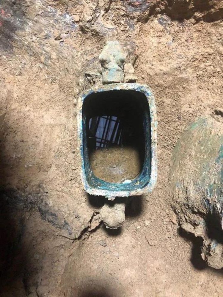 Zhengzhou of ｜ of elephant morning paper is free inchoate sieve investigates lung cancer the job is started