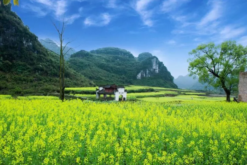 用資料揭曉，國慶最坑的旅遊景點在哪裡？哪些景點冷門卻值得一去